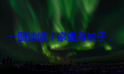 一图读懂丨咬家里有蚊子，这样做速战速决不挨