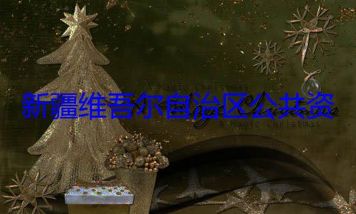 查调查新疆维吾尔心副主任薛建强接受审自治区公共资源交易中