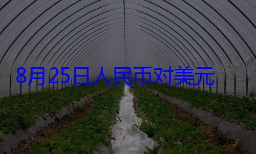 人民币对美点8月25日元中间价报1元 上调160个基